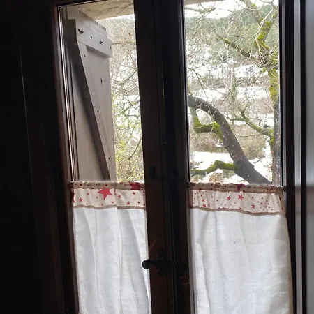 La Flor De Apartament Borau