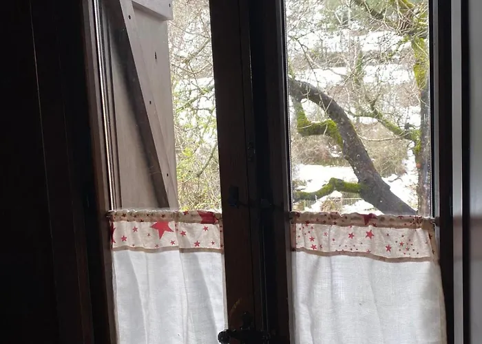 La Flor De Apartamento Borau